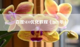 百度SEO优化教程（2021年）