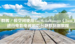群晖／极空间使用TinyMediaManager（Tmm）进行电影电视剧后台静默刮削教程