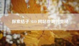 探索桔子 SEO 网站查询的奥秘