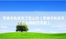 苹果手机丢失了怎么办（苹果手机丢失了怎么办对方关机）