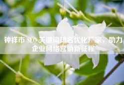 钟祥市 SEO 关键词排名优化厂家，助力企业网络营销新征程
