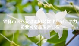钟祥市 SEO 关键词排名优化厂家，助力企业网络营销新征程