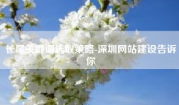 长尾关键词选取策略-深圳网站建设告诉你