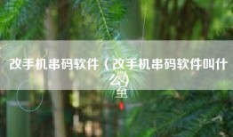 改手机串码软件（改手机串码软件叫什么）