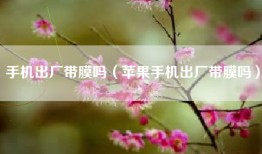 手机出厂带膜吗（苹果手机出厂带膜吗）