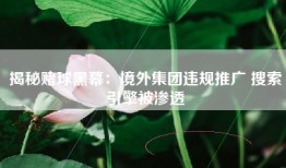 揭秘赌球黑幕：境外集团违规推广 搜索引擎被渗透
