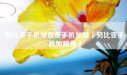努比亚手机加盟费手机加盟「努比亚手机加盟费」
