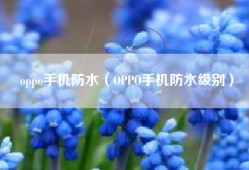 oppo手机防水（OPPO手机防水级别）