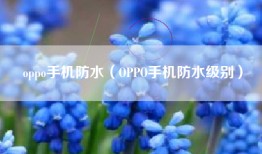 oppo手机防水（OPPO手机防水级别）