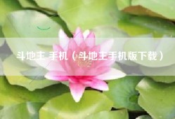 斗地主 手机（斗地主手机版下载）