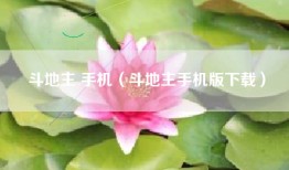 斗地主 手机（斗地主手机版下载）