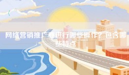 网络营销推广要进行哪些操作？包含哪些特点