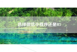 选择微信小程序还是H5