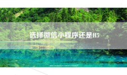 选择微信小程序还是H5