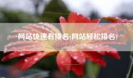 网站快速有排名(网站轻松排名)