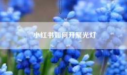 小红书如何开聚光灯