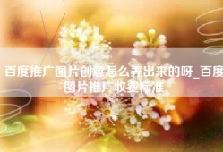 百度推广图片创意怎么弄出来的呀_百度图片推广收费标准