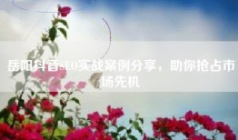 岳阳抖音SEO实战案例分享，助你抢占市场先机
