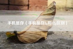 手机显存（手机显存8g和12g区别）