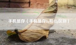 手机显存（手机显存8g和12g区别）
