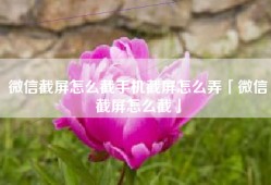 微信截屏怎么截手机截屏怎么弄「微信截屏怎么截」