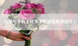 化学与手机（化学手机壁纸高清图片）