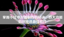 掌握小红书封面制作的秘诀，四大功能助你挑选最佳软件