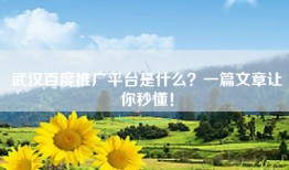 武汉百度推广平台是什么？一篇文章让你秒懂！