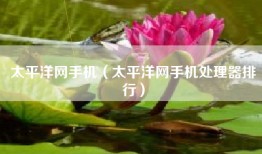 太平洋网手机（太平洋网手机处理器排行）