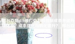 邢台百度SEM推广中怎样控制成本并提升转化率？成本优化与转化提升？_邢台百度sem代运营