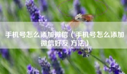手机号怎么添加微信（手机号怎么添加微信好友 方法）