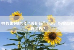 蚂蚁集团推出“碳矩阵”SaaS，蚂蚁森林要变现？
