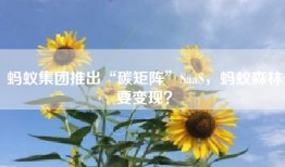 蚂蚁集团推出“碳矩阵”SaaS，蚂蚁森林要变现？