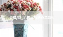 百度推广，优点与缺点之剖析