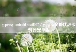 goproxy-android snail007／goproxy全能代理服务器安卓版