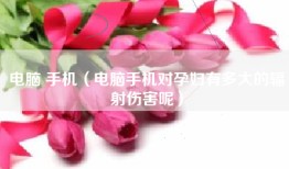 电脑 手机（电脑手机对孕妇有多大的辐射伤害呢）
