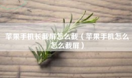 苹果手机长截屏怎么截（苹果手机怎么怎么截屏）
