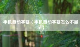 手机自动字幕（手机自动字幕怎么不显示）