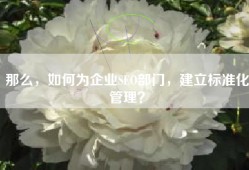 那么，如何为企业SEO部门，建立标准化管理？