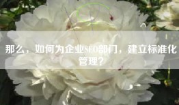 那么，如何为企业SEO部门，建立标准化管理？