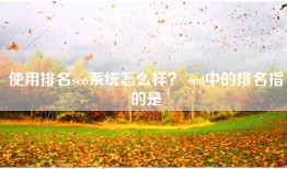 使用排名seo系统怎么样？ seo中的排名指的是