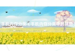 手机内存分类（手机内存分类中的其他）