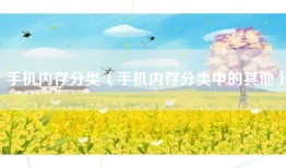 手机内存分类（手机内存分类中的其他）