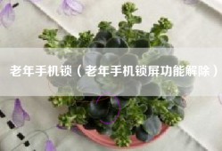 老年手机锁（老年手机锁屏功能解除）
