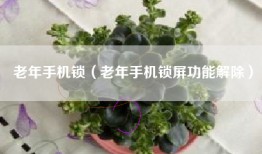 老年手机锁（老年手机锁屏功能解除）