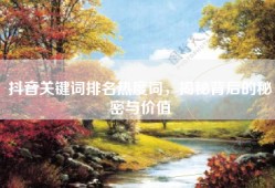 抖音关键词排名热度词，揭秘背后的秘密与价值