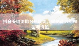 抖音关键词排名热度词，揭秘背后的秘密与价值