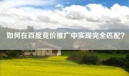 如何在百度竞价推广中实现完全匹配？