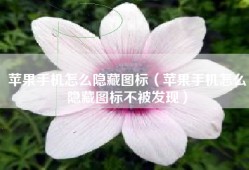 苹果手机怎么隐藏图标（苹果手机怎么隐藏图标不被发现）