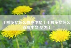 手机英文怎么改成中文（手机英文怎么改成中文 华为）